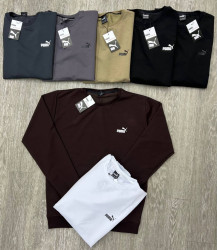 Світшот чоловічий, двунитка, пеньє, м.90 (Розмір: M-3XL ), 7 кольорів, в упаковці 5 шт. №346940