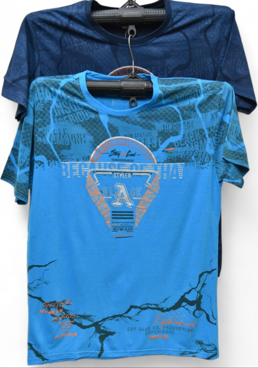 Футболка чоловіча, трикотаж (р. 2XL-5XL ), мікс кольорів, в упаковці 5 шт. №313160 - Vanda SE1013