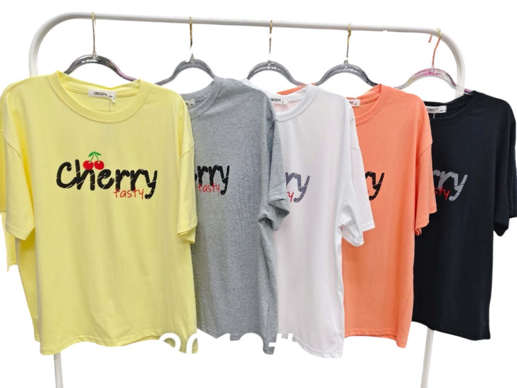 Футболка жіноча, котон (розмір: L-2XL ), мікс кольорів, в упаковці 6 штук №344619 - Vanda SE1013