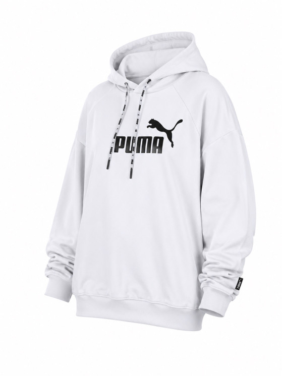 Худі чоловіче "Puma" комбінований (р: S-2XL) 2 кольори, в упаковці 5 шт. №388050 - 