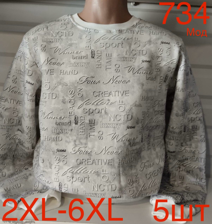 Світшот чоловічий фліс м.734 (р.2XL-6XL)  в упаковці 5 штук 758530 - Nadiyka BG/PO2161-2162
