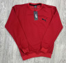 Світшот чоловічий Puma "90" двохнитка (р: M,L,XL,XL2XL,2XL,3XL) 4 кольори, в упаковці 7 шт. №360928 - Spider