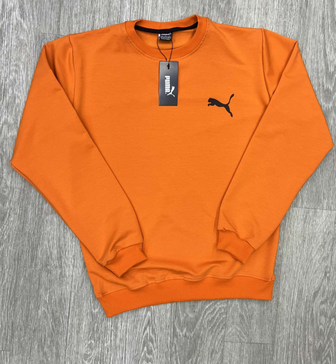 Світшот чоловічий Puma "90" двохнитка (р: M,L,XL,XL2XL,2XL,3XL) 4 кольори, в упаковці 7 шт. №360928 - Spider