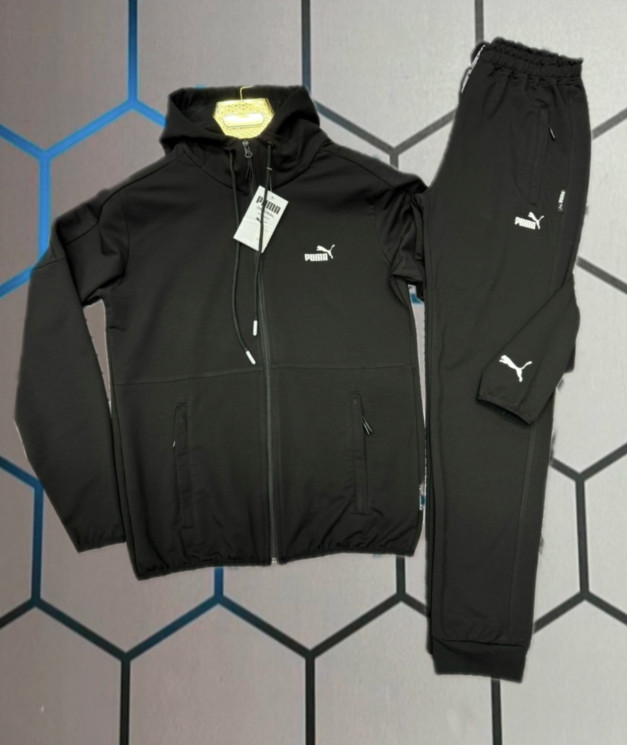 Спортивний костюм чоловічий Puma "4762" (р: S-2XL) в упаковці 5 шт. №373917 - AlexClothes SER2276