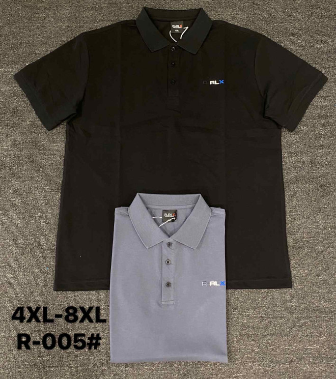 Футболка чоловіча "005" (р: 4XL-8XL) 2 кольори, в упаковці 5 шт. №381006 - Eiliya WE3113