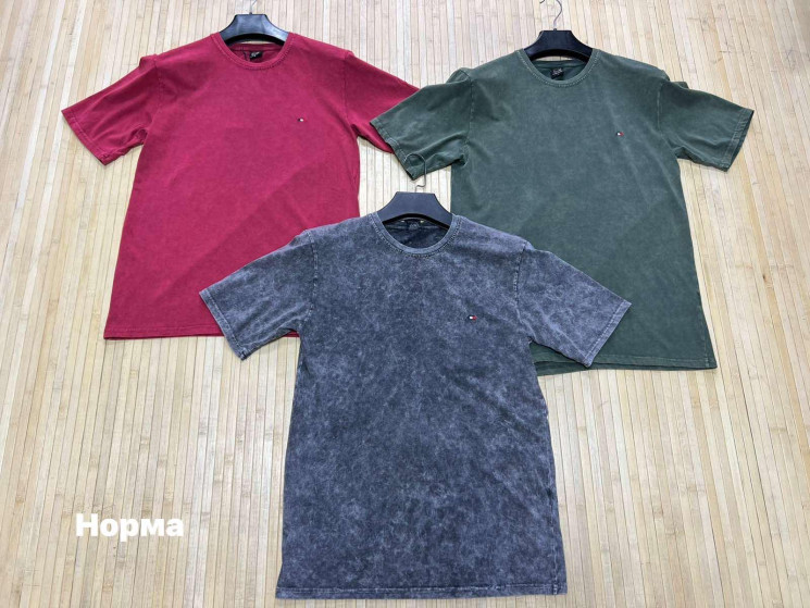 Футболка чоловіча (р: М,L,XL,2XL) 3 кольори, в упаковці 4 шт. №381732 - Turkey SE897