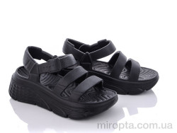 Босоніжки W412 black р: 36-41, в упаковці: 8 пар, купити тільки гуртом