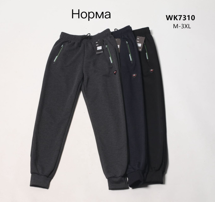 Спортивні штани чоловічі, WK-7310, трикотаж (р: M-3XL) 3 кольори, в упаковці 5 шт. №601700 - Megasport