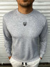 Світшот чоловічий, двохнитка (р: 2XL-6XL) 4 кольори, в упаковці 5 шт. №357336 - NikNumbers SE 1041-1042