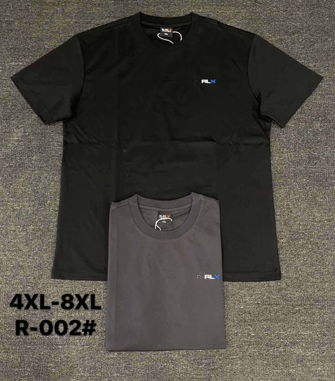 Футболка чоловіча "002" (р: 4XL-8XL) 2 кольори, в упаковці 5 шт. №381008 - Eiliya WE3113