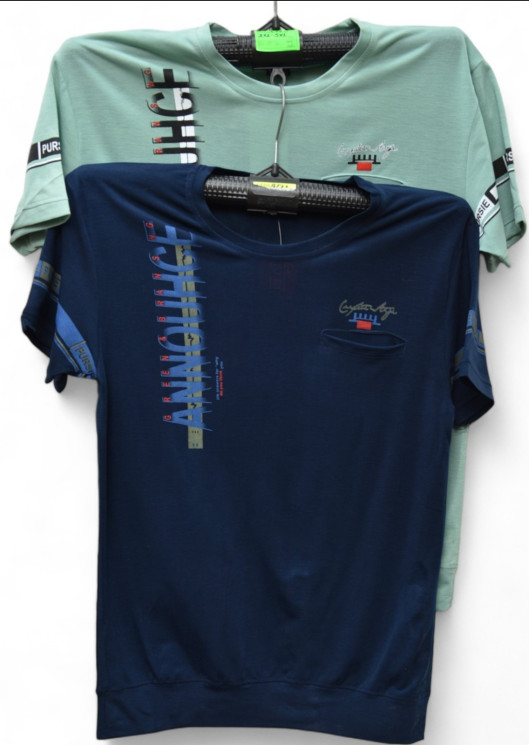 Футболка чоловіча, трикотаж (р. 2XL-5XL ), мікс кольорів, в упаковці 5 шт. №313165 - Vanda SE1013
