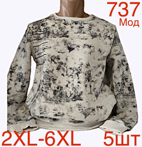 Світшот чоловічий фліс м.737 (р.2XL-6XL)  в упаковці 5 штук 758531 - Nadiyka BG/PO2161-2162