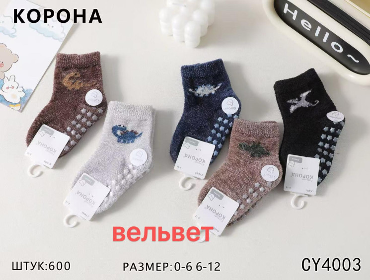 Шкарпетки дитячі вельвет махрові м.CY4003 (р: 0-12 ) мікс кольорів в упаковці 10 штук  №758500 - Haner 449/451