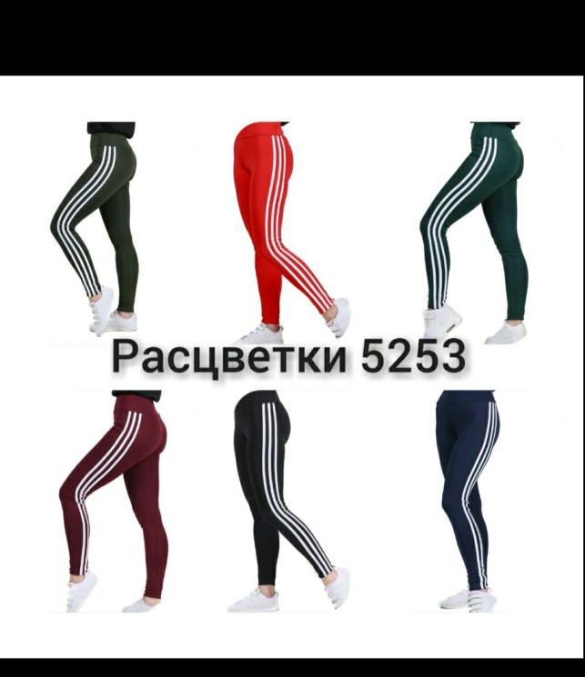 Лосини жіночі "5253"(Розмір: 42-48),6 кольорів, в упаковці 4 шт №100364 - MSOMay