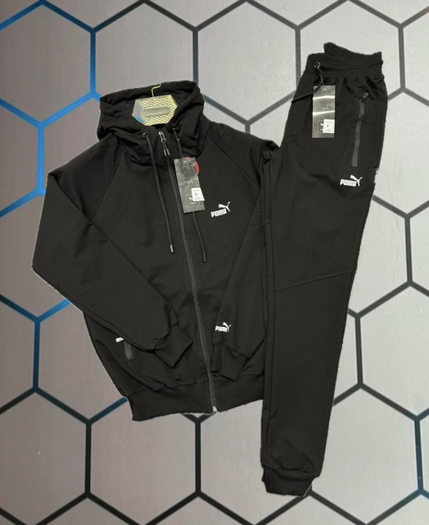 Спортивний костюм чоловічий Puma "4758" (р: S-2XL) в упаковці 5 шт. №373921 - AlexClothes SER2276