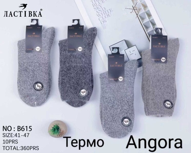 Шкарпетки чоловічі ангора термо м.B615 (р:41-47) мікс кольорів в упаковці 10 штук №759573 - Haner 449/451