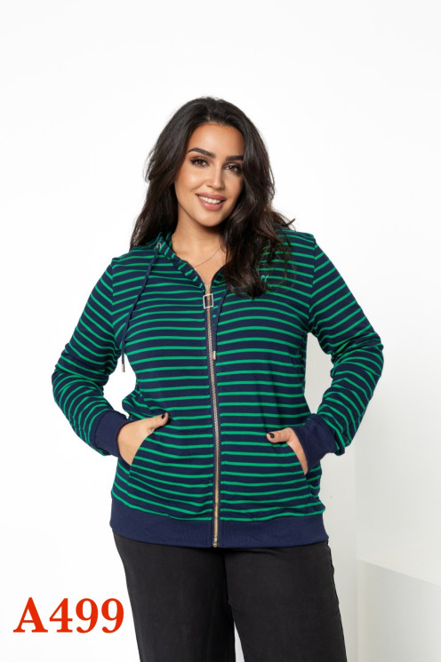Кофта жіноча "А499" котон/двохнитка (Розмір: XL-4XL) в упаковці 4 штук №160259 - Kama RZ4495
