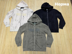 Спортивна кофта чоловіча, двохнитка (р: L,XL,2XL,3XL,4XL) 3 кольори, в упаковці 5 шт. №389100