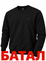 Кофта чоловіча, двохнитка (р: S-2XL) в упаковці 5 шт. №390453