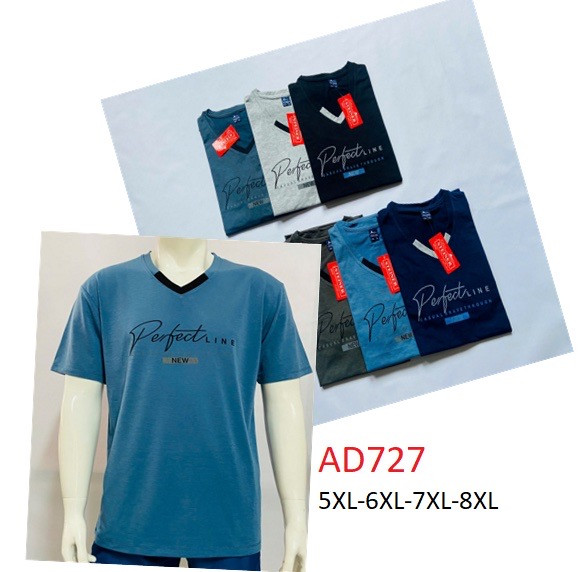 Футболка чоловіча, трикотаж, м.АDD727 (р. 5XL-8XL ), мікс кольорів, в упаковці 5 шт. №329329 - Vanda SE1013