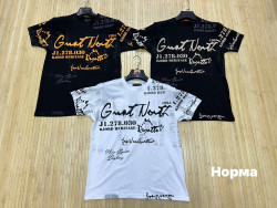 Футболка чоловіча (р: S,М,L,XL,2XL) 3 кольори, в упаковці 5 шт. №381738