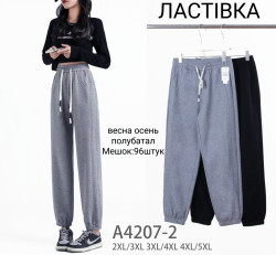 Спортивні штани жіночі трикотаж м.A4207-2 (р: 2XL-5XL) 2 кольори в упаковці 12 штук №756489