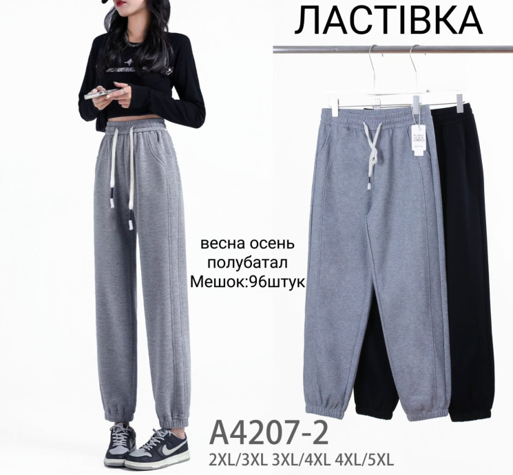 Спортивні штани жіночі трикотаж м.A4207-2 (р: 2XL-5XL) 2 кольори в упаковці 12 штук №756489 - Haner 449/451