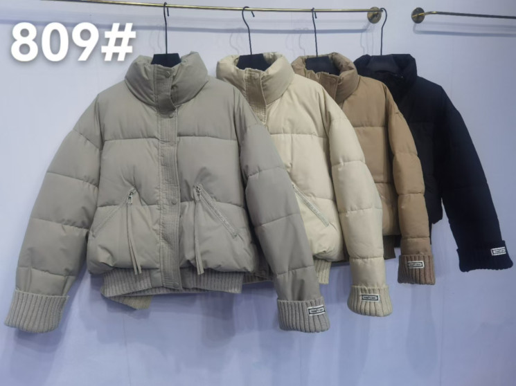 Куртка жіноча, плащівка "809" зима (р: M-2XL) 4 кольори, в упаковці 4 шт. №360378 - Topmix WE1172