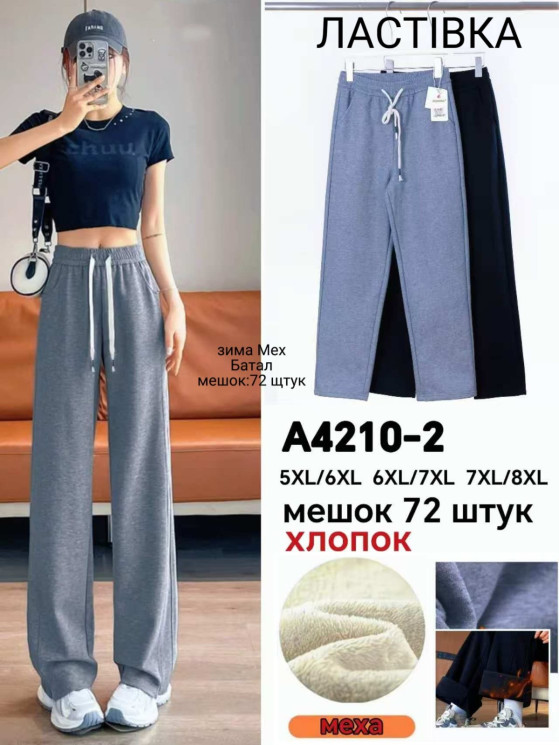 Спортивні штани жіночі хутро м.A4210-2 (р: 5XL-8XL) 2 кольори в упаковці 12 штук №758436 - Haner 449/451