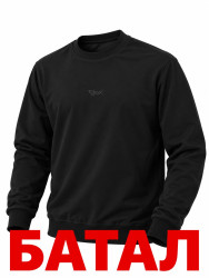 Кофта чоловіча, двохнитка (р: S-2XL) в упаковці 5 шт. №390458