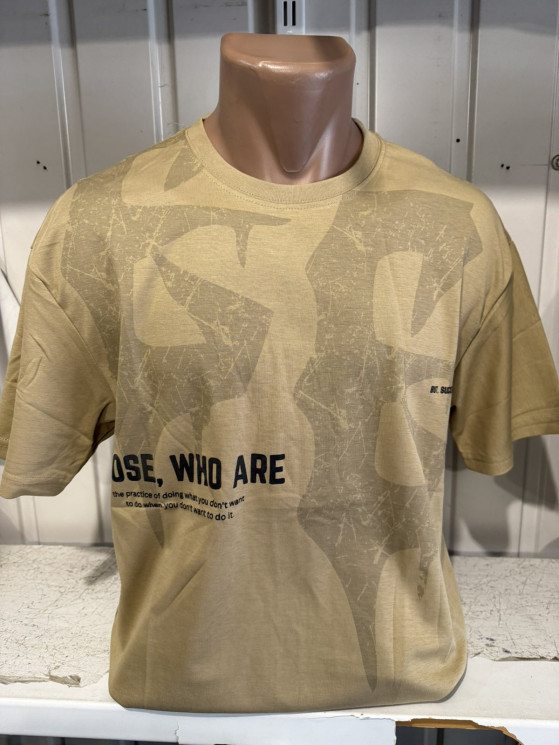 Футболка чоловіча (р: L,XL,2XL,3XL) 4 кольори, в упаковці 4 шт. №382722 - Turkey SE897