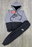 Спортивний костюм дитячий Nike "254-3" турецька двохнитка (р: 13-17 років) 7 кольорів, в упаковці 5 шт. №364643 - Spider
