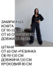 Костюм жіночий на блискавці з капюшоном, велюр м. 625 (р. 42-48) №411878 - 