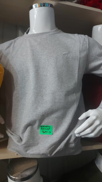 Батник чоловічий двухнитка батал TRB (Розмір:3XL-6XL) сірий кол в упаковці 4 штук №300342 - Wolf HR1900