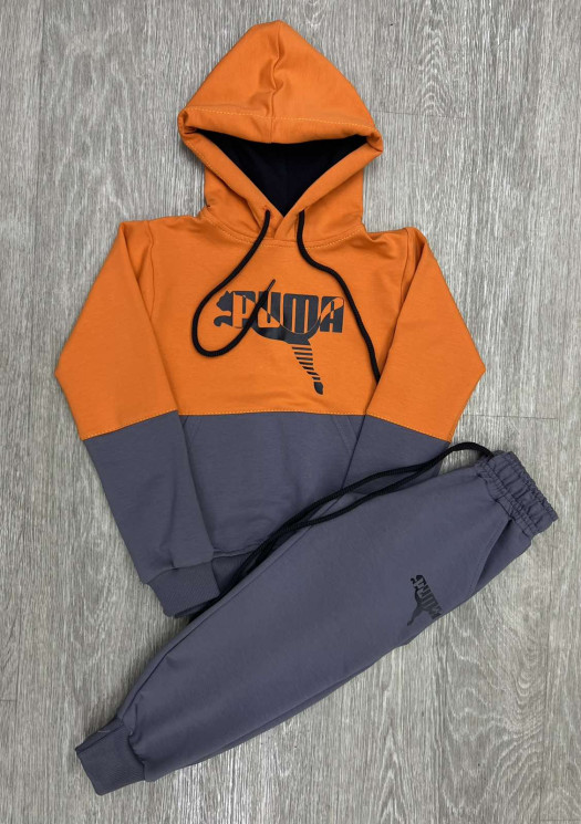 Спортивний костюм дитячий Puma "254-1" турецька двохнитка (р: 4-8 років) 2 кольори, в упаковці 5 шт. №364386 - Spider