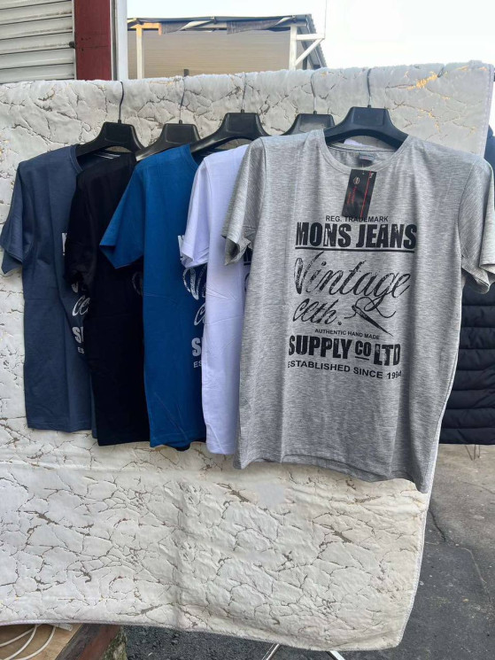 Футболка чоловіча, трикотаж (р. XL-3XL ), мікс кольорів, в упаковці 5 штук №325650 - Vanda SE1013