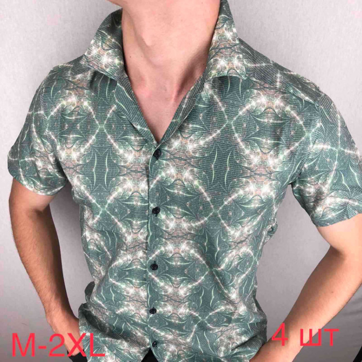 Сорочка Paul Semih р M-2XL Чоловіча Q0021 green - Nadiyka BG/PO2161-2162