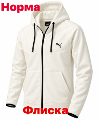 Спортивна кофта чоловіча "Puma" тедді (р: S-2XL) в упаковці 5 шт. №390462