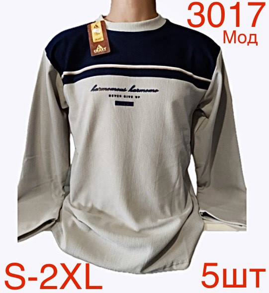 Світшот чоловічий фліс м.3017 (р.S-2XL) 8 кольорів в упаковці 5 штук 758145 - Nadiyka BG/PO2161-2162