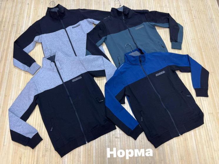 Спортивна кофта чоловіча, двохнитка (р: М,L,XL,2XL) 4 кольори, в упаковці 4 шт. №381510 - Turkey SE897
