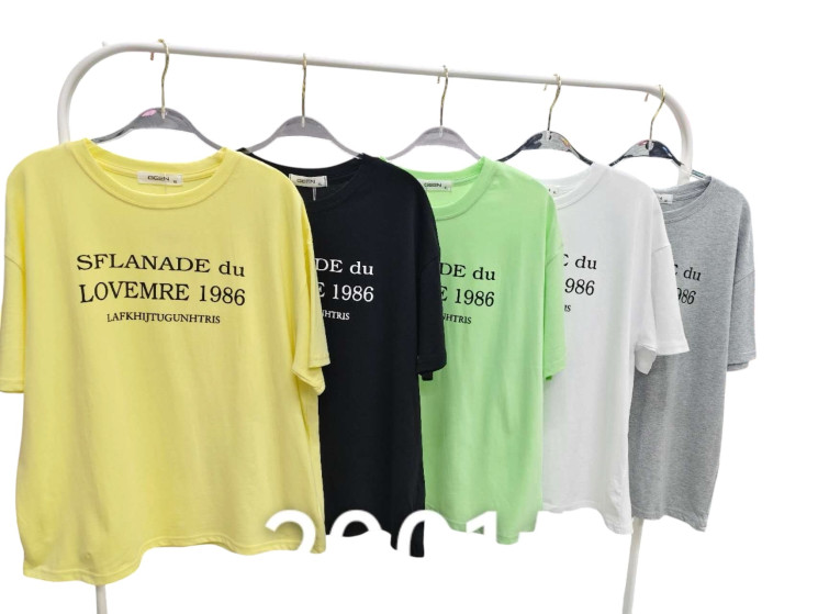Футболка жіноча, котон (розмір: L-2XL ), мікс кольорів, в упаковці 6 штук №344628 - Vanda SE1013