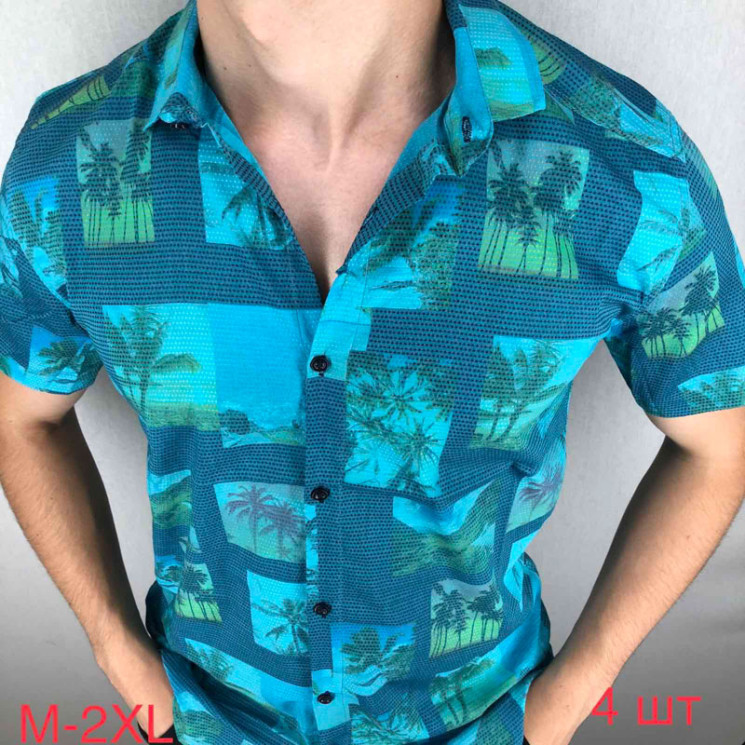 Сорочка Paul Semih р M-2XL Чоловіча Q0022 l.green - Nadiyka BG/PO2161-2162
