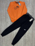 Спортивний костюм дитячий Nike "254-2/256-3" турецька двохнитка (р: 13-17 років) 8 кольорів, в упаковці 5 шт. №364647 - Spider