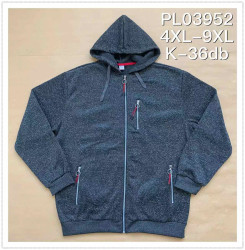 Кофта спортивна чоловіча батал PL03952 (Розмір: 4-9XL) в упаковці 6 штук різного кольору №700007