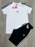 Костюм чоловічий "Adidas" (р: М-3XL) 4 кольори, в упаковці 5 шт. №368859 - Spider