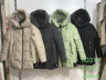 Куртка жіноча зимова 9031 синтепон(Р: S-2XL) 4 кол. 5 шт в упаковці №301710 - 