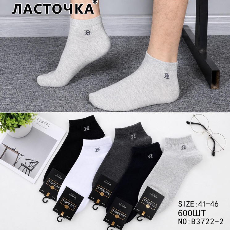 Чоловічі шкарпетки, бавовна, м. B3722 (р. 41-47), мікс кольорів, в упаковці 10 пар №344535 - VanKiey WE296