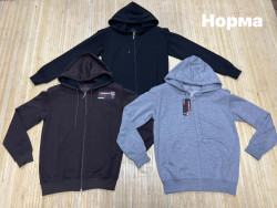 Спортивна кофта чоловіча, двохнитка (р: М,L,XL,2XL,3XL) 3 кольори, в упаковці 5 шт. №381512