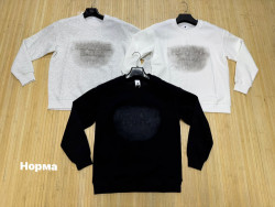 Світшот чоловічий, двохнитка (р: L,XL,2XL,3XL,4XL) 3 кольори, в упаковці 5 шт. №388399