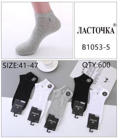 Шкарпетки чоловічі м.B1053-5 (р:41-47) мікс кольорів в упаковці 10 штук №757229 - Haner 449/451